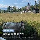 이조팜 | [카페] 말로와 길갈팜랜드 | 제주도 동쪽 여행 코스 추천 | 목장 체험 아이와 함께 가기 좋은 카페