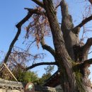 유림마을 경로당 이미지