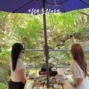 계곡초등학교 | 김해 장척계곡 옆에서 삼계탕 초원가든