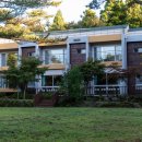 무동풋살장 이미지