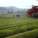 꽃뜰펜션 이미지