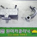 원미카크리닉 이미지