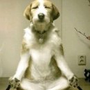 무념무상 이미지