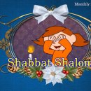 샬롬(Shalom) 이미지