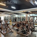 하파휘트니스 이미지