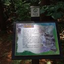 소백산자락길 제6코스 이미지