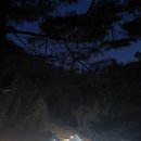심원조경