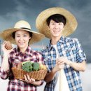 농업회사법인 주식회사 대한