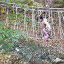 적상산휴게소식당 이미지