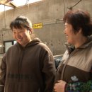 종일목장 이미지