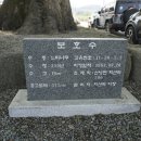 치산2리경로당 이미지