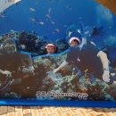 어린이바다과학관 이미지