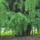 동문근린공원 남문 이미지