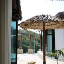 코스타리몬 이미지