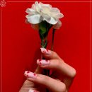 네일더하기 이미지