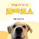 뽀따또쓰 이미지