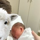 미소아청소년과의원 이미지