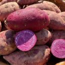 무안농장 이미지