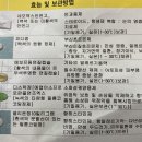 정앤남