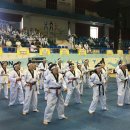 경연태권도 이미지