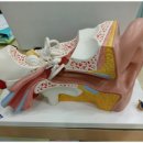 금강보청기송파센터 이미지