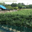 응암2리_마을회관 이미지