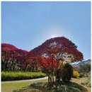 희망펜션 이미지