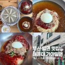 가야 | 부산 밀면 맛집 현지인 추천받고 다녀온 해운대 가야밀면 내돈내산 후기