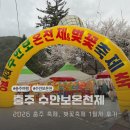 충주상업고 | 충주 여행 2026 수안보온천제 벚꽃축제 1일차 방문 후기