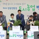 강동친환경도시농업박람회 티스토리