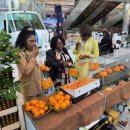 (주)제주국제컨벤션센터 이미지