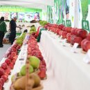 거창숯불구이 이미지