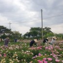 재난안전과 이미지