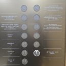 THE-ART(디-아트) | 롯데뮤지엄:디 아트 오브 주얼리(고혹의 보석, 매혹의 시간)_2025.3.8