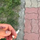 청당약국 | 복스니코제로 VOXNICOZERO 금연초 후기 아이스 레몬 멘솔