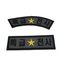 남일사