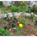 금영로 | 나주 이창동 카페 더 테라스 분위기 좋은 힐링공간 후기 알려드릴게요!