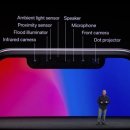 애플아일랜드 이미지