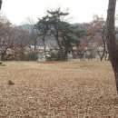 탈해왕릉 이미지