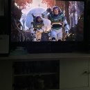 불맛스토리 삼척점 | 2022년 8월 셋째 주, 이 모든 여름 색은 우리가 다 마셔