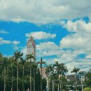 9시약국 | 대만여행 옷차림 날씨 준비물 + 꿀팁 대방출(모기기피제, 모기 연고, 약국 등)+샤오헤이원 물린 후기...