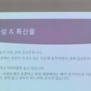 알토란사과체험마을 이미지