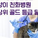 유케어종합동물병원 이미지