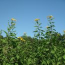 구구농장 이미지