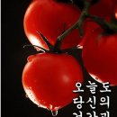 방울토마토 이미지