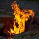 노고록이 이미지