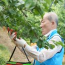 조남일농장 이미지