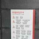 3237 | 대구 동구보건소 무료 산전검사 이용 후기