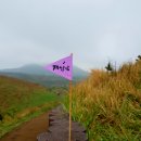 참기름주유소 이미지