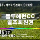 블루헤런 주식회사